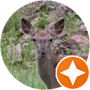 Ioannis Tziamalis profile picture